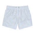 Blue Striped Shorts